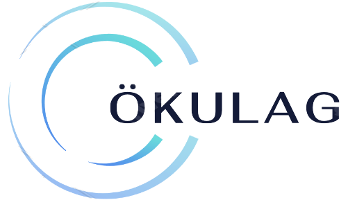 Ökulag